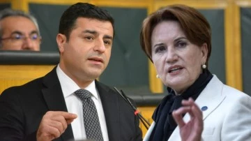 Demirtaş'tan Akşener'e tarihi &ccedil;ağrı...