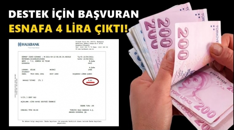 Destek i&ccedil;in başvurdu, hesabına 4 lira yattı!