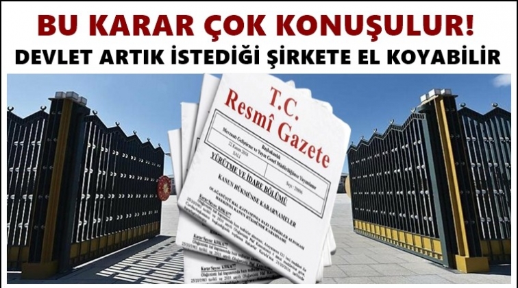&lsquo;Devlet artık istediği şirkete el koyabilir&rsquo;