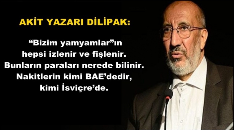 Dilipak: Nakitlerin kimi BAE&rsquo;dedir, kimi İsvi&ccedil;re&rsquo;de
