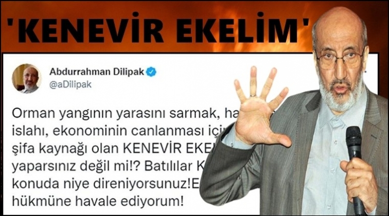 Dilipak'tan yangına &ccedil;&ouml;z&uuml;m: Kenevir ekelim!..