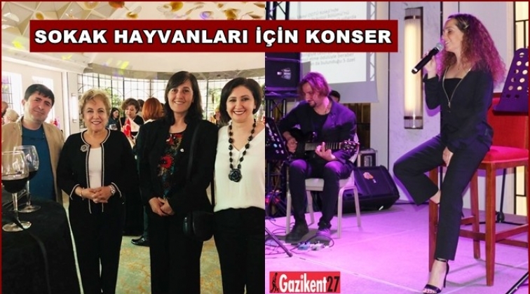 Dilmun’dan sokak hayvanları yararına konser