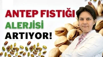 Doç. Dr. Tat: Antep Fıstığı Alerjisi giderek artıyor!