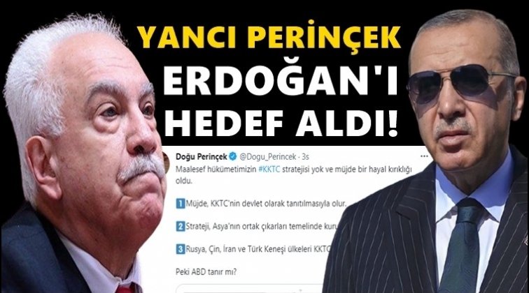 Doğu Perin&ccedil;ek, Erdoğan'ı hedef aldı!..