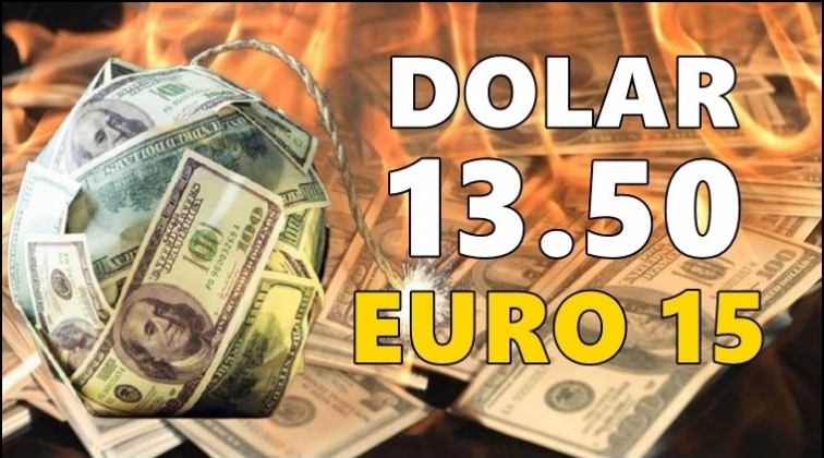 Dolar 13.50, Euro 15, Sterlin 17.90...