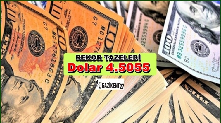 Dolar 4.5055 ile rekor tazeledi