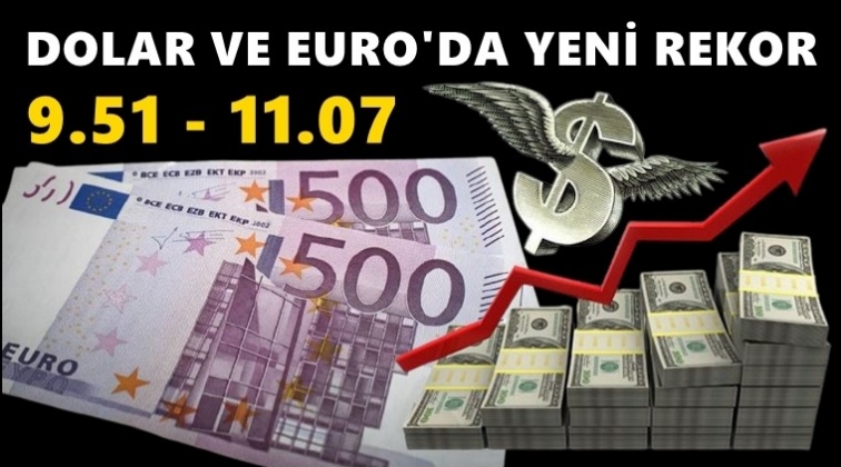 Dolar 9.51&rsquo;i, euro 11.07'yi lirayı g&ouml;rd&uuml;!