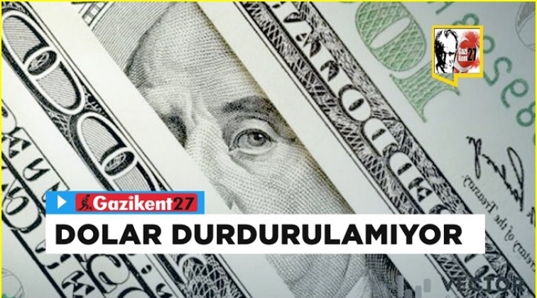 Dolar durdurulamıyor