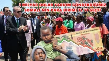 D&uuml;nyanın en fakir &uuml;&ccedil; &uuml;lkesi TL'yi ge&ccedil;ti!