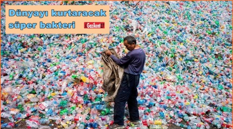 Dünyayı kurtaracak süper bakteri