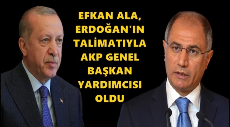 Efkan Ala, Genel Başkan Yardımcısı oldu