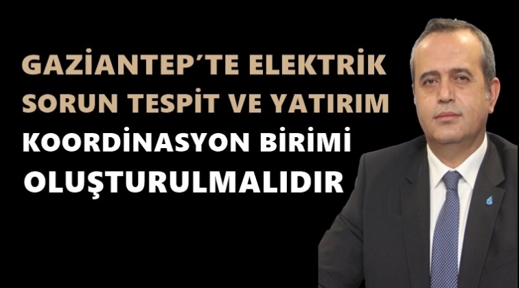 'Elektrik Koordinasyon Birimi oluşturulmalı'