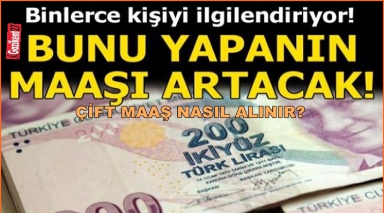 Emekliye çift maaş fırsatı!