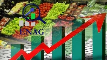 ENAG: Temmuz ayı enflasyonu yüzde 69,21