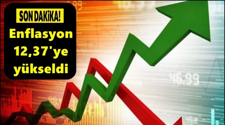 Enflasyon y&uuml;zde 12,37'ye y&uuml;kseldi