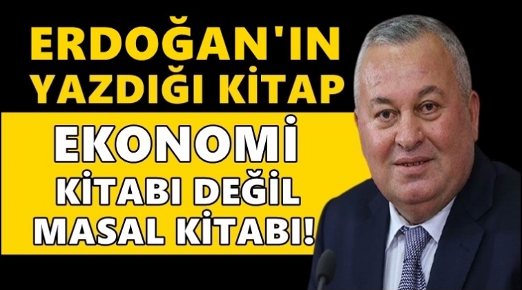 Enginyurt: Erdoğan'ın yazdığı kitap masal kitabı!