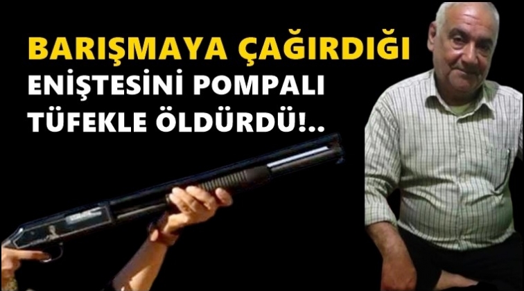 Eniştesini barışmaya &ccedil;ağırdı, &ouml;ld&uuml;rd&uuml;!