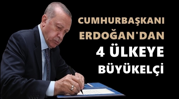Erdoğan, 4 &uuml;lkeye yeni b&uuml;y&uuml;kel&ccedil;i atadı