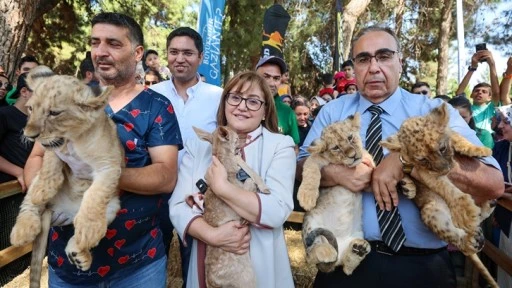 Erdoğan’a hediye edilen aslanların üçüzleri oldu!