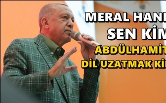 Erdoğan, Akşener'i hedef aldı...