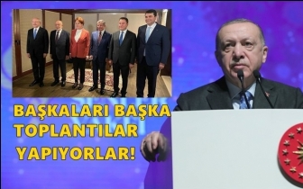 Erdoğan altı parti toplantısını eleştirdi...