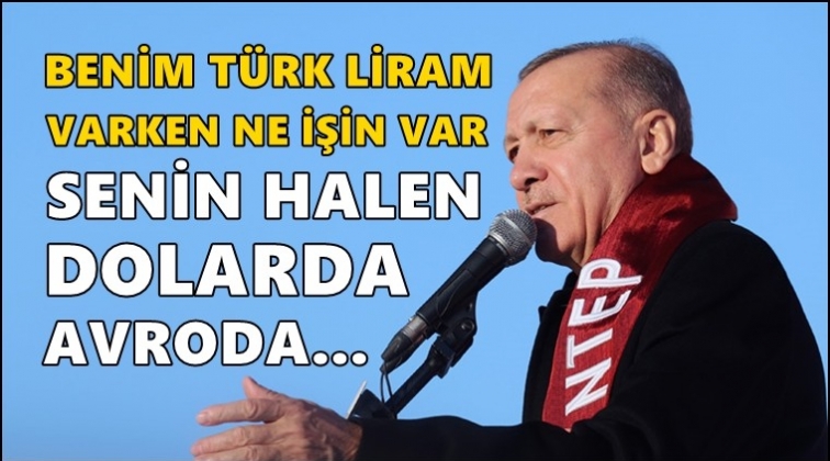 Erdoğan: Benim Türk liram varken ne işin var senin...