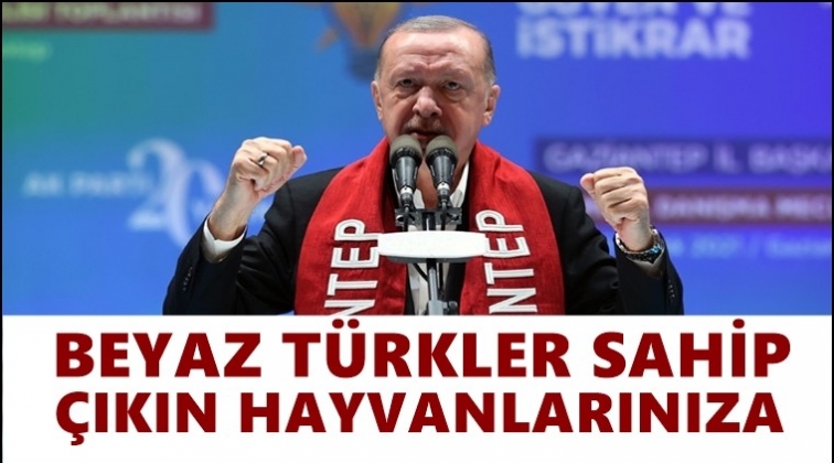 Erdoğan: Beyaz T&uuml;rkler sahip &ccedil;ıkın hayvanlarınıza