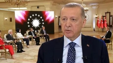 Erdoğan, bug&uuml;nk&uuml; programlarını iptal etti: İstirahat edeceğim