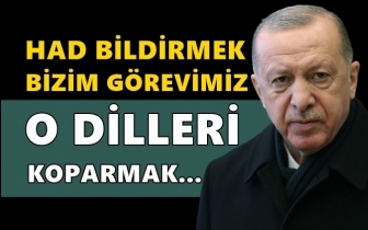 Erdoğan da Sezen Aksu'yu hedef aldı...