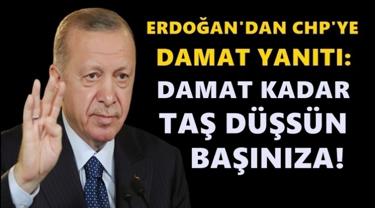 Erdoğan: Damat kadar taş düşsün başınıza