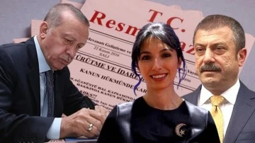 Erdoğan'dan gece yarısı üst düzey atamalar! 