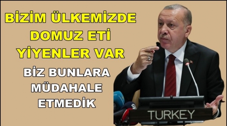 Erdoğan: Domuz eti yiyenlere m&uuml;dahale etmiyoruz