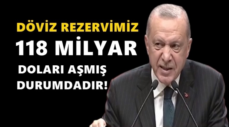 Erdoğan: D&ouml;viz rezervlerimiz, 118 milyar doları aştı