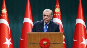 Erdoğan: D&ouml;vize ve altına y&ouml;nelmek i&ccedil;in sebep kalmamıştır!