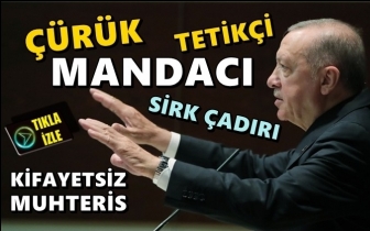 Erdoğan dozu artırdı: Çürük, mandacı, tetikçi...