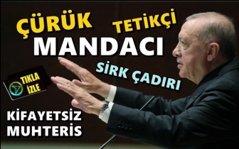 Erdoğan dozu artırdı: &Ccedil;&uuml;r&uuml;k, mandacı, tetik&ccedil;i...