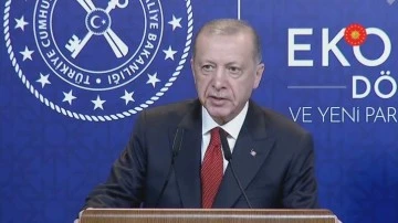 Erdoğan: Enflasyonu, hızla d&uuml;ş&uuml;recek kabiliyete sahip bir &uuml;lkeyiz!
