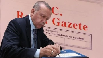 Erdoğan, gece yarısı iki bakan yardımcısı atadı!