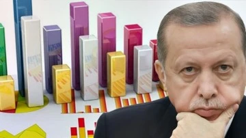 Erdoğan'ı &uuml;zecek anket: Y&uuml;zde 66,4 'parlamenter sistem' dedi