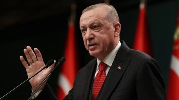 Erdoğan'ın &lsquo;S&uuml;rt&uuml;k&rsquo; s&ouml;z&uuml; su&ccedil; sayılmadı!