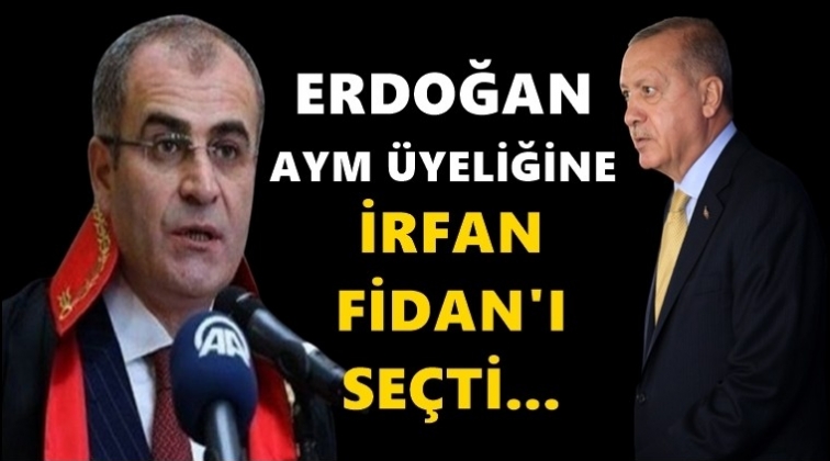 Erdoğan, İrfan Fidan'ı se&ccedil;ti!