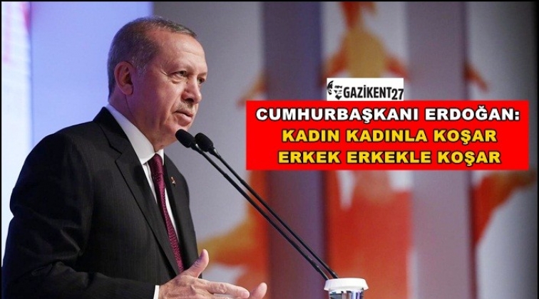 Erdoğan: &lsquo;Kadın kadın ile koşar, erkek erkekle koşar&rsquo;