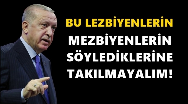 Erdoğan: Lezbiyenlerin mezbiyenlerin...