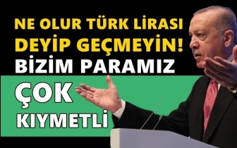 Erdoğan: Ne olur 'Türk lirası' deyip geçmeyin!