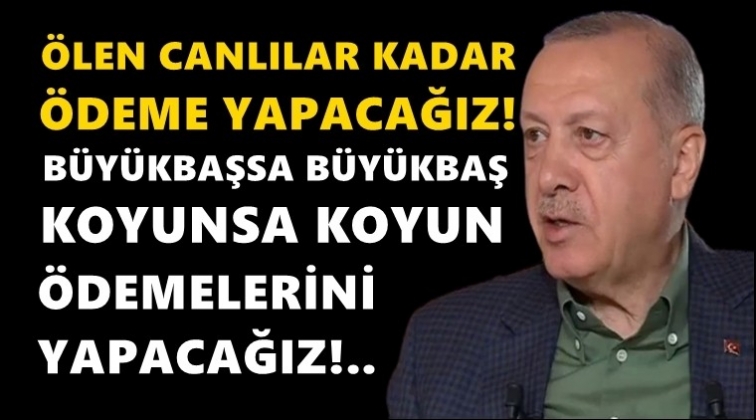 Erdoğan: Ölen canlılar kadar ödeme yapacağız!..