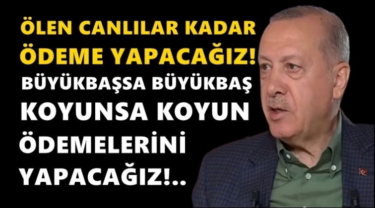 Erdoğan: &Ouml;len canlılar kadar &ouml;deme yapacağız!..