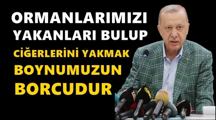 Erdoğan: Ormanlarımızı yakanları bulup...