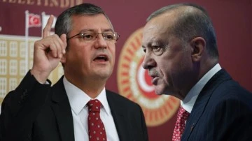 Erdoğan, &Ouml;zg&uuml;r &Ouml;zel'e a&ccedil;tığı davayı kaybetti