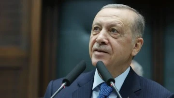 Erdoğan sadece baş&ouml;rt&uuml;s&uuml;ne anayasal g&uuml;vence istedi