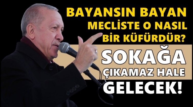 Erdoğan: Sokağa &ccedil;ıkamaz hale gelecekler...